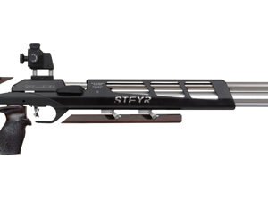 Steyr Challenge